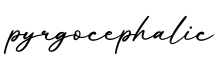单词pyrgocephalic书写