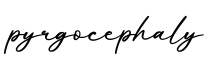 单词pyrgocephaly书写