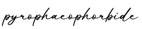 单词pyrophaeophorbide书写