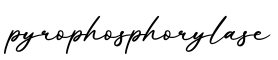 单词pyrophosphorylase书写