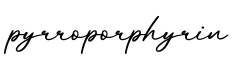 单词pyrroporphyrin书写