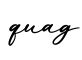 单词quag书写
