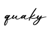单词quaky书写