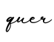 单词quer书写