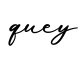 单词quey书写