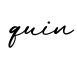 单词quin书写