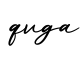 单词qvga书写