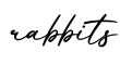单词rabbits书写