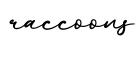 单词raccoons书写