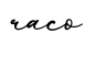 单词raco书写