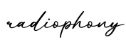 单词radiophony书写