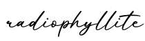 单词radiophyllite书写