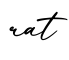 单词rat书写
