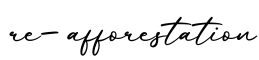 单词re-afforestation书写