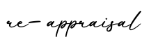 单词re-appraisal书写