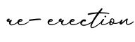 单词re-erection书写