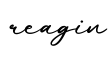 单词reagin书写