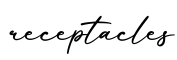 单词receptacles书写