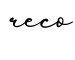 单词reco书写