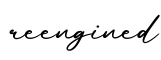 单词reengined书写