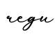 单词regu书写