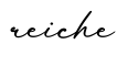 单词reiche书写
