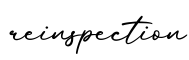 单词reinspection书写