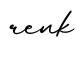 单词renk书写