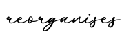 单词reorganises书写