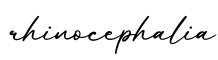 单词rhinocephalia书写