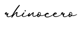 单词rhinocero书写