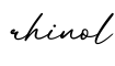 单词rhinol书写