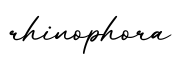 单词rhinophora书写