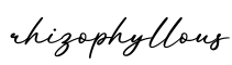 单词rhizophyllous书写
