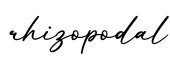 单词rhizopodal书写
