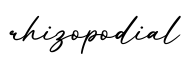 单词rhizopodial书写