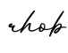 单词rhob书写
