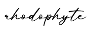 单词rhodophyte书写
