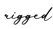 单词rigged书写