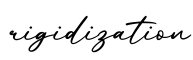 单词rigidization书写