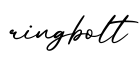 单词ringbolt书写