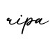 单词ripa书写