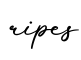 单词ripes书写