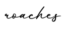 单词roaches书写