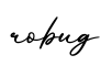 单词robug书写