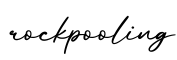 单词rockpooling书写