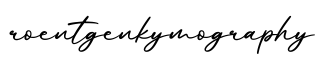 单词roentgenkymography书写