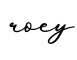 单词roey书写