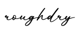 单词roughdry书写