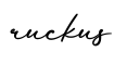 单词ruckus书写